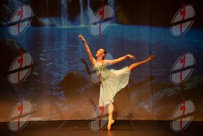 SHOW_00388.jpg